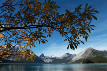 Tree limb against backgroud of mountains and water with blue sky.