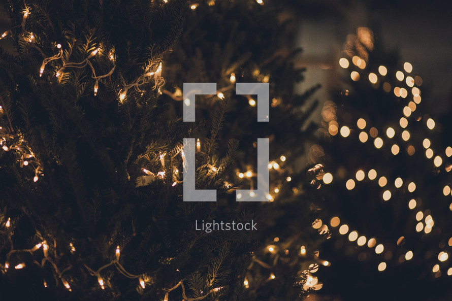 lights on a Christmas tree outdoors 