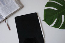 open Bible, tablet, and palm frond 