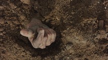 a hand reaching out of the ground 