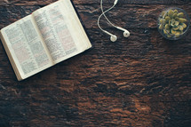 open Bible, earbuds, and plant on a wood background 