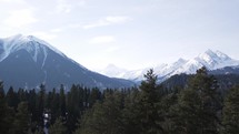 A beautiful landscape of snowy mountain peaks, with a coniferous forest below.