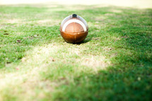 football in the grass