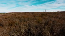 Autumn Mountain Forest Orange Colors With Communication Antennas In The Distance