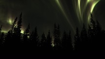 Northern Lights glowing brightly over trees