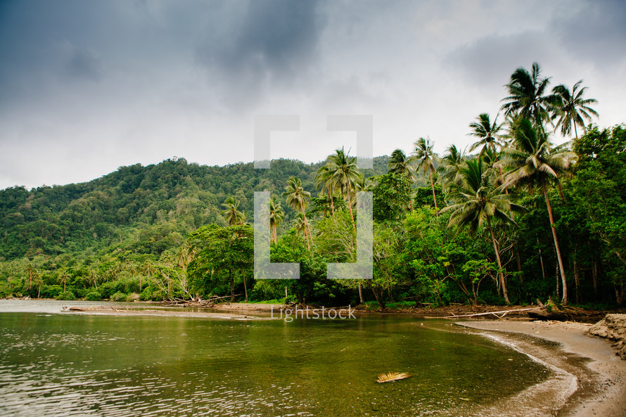 tropical shoreline in Kau Kau Village 