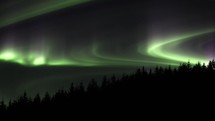 Green Aurora Borealis in the night sky