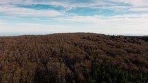 Mountain With Orange Trees In The Nature Aerial View