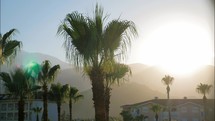 Timelapse with sunset and green palm tree against the backdrop of mountains.