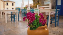 Jar with Flowers near an outdoor restaurant in Marzamemi city Sicily
