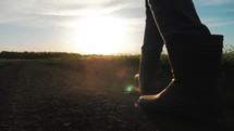 Close up rubber boots. Farmer in rubber boots going in the field of cultivated corn maize crops. Man in rubber boots go in cornfield with light of sunset. Agricultural and organic products concept.