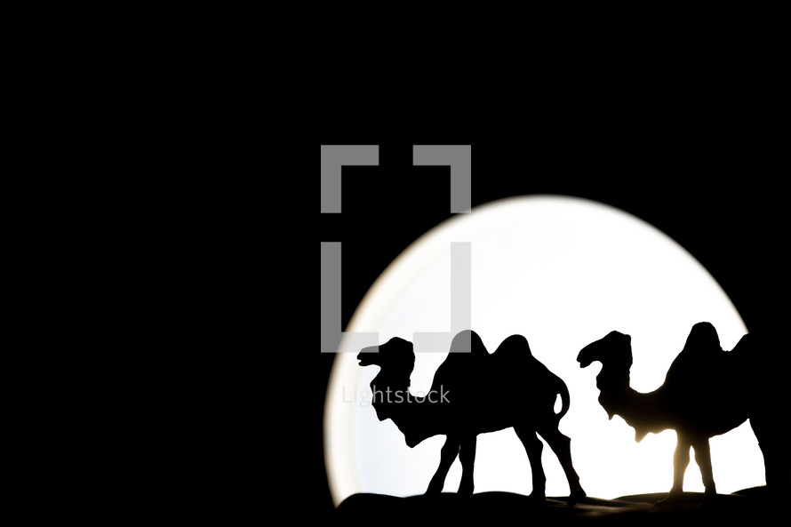 Christmas camels nativity black and white silhouette
