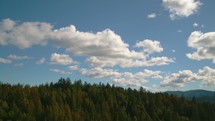 Mountain forest with clouds in the sky - flying toward trees  (3 of 4)