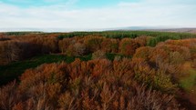 Overview Of Orange Autumn Color Tree Tops In The Mountains