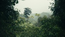 Timelapse of clouds moving over the tropical rainforest hills of and Coast Costa Rica