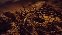 crown of thorns in ashes 