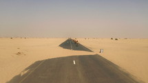 Herd of camels in the desert