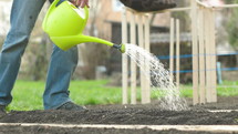 watering a garden with a watering can 
