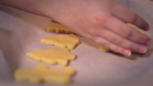 a child cutting out Christmas cookies 