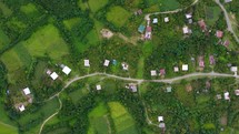 Village houses and road aerial view