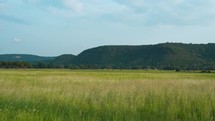 Hill Country Hay Field and Pasture