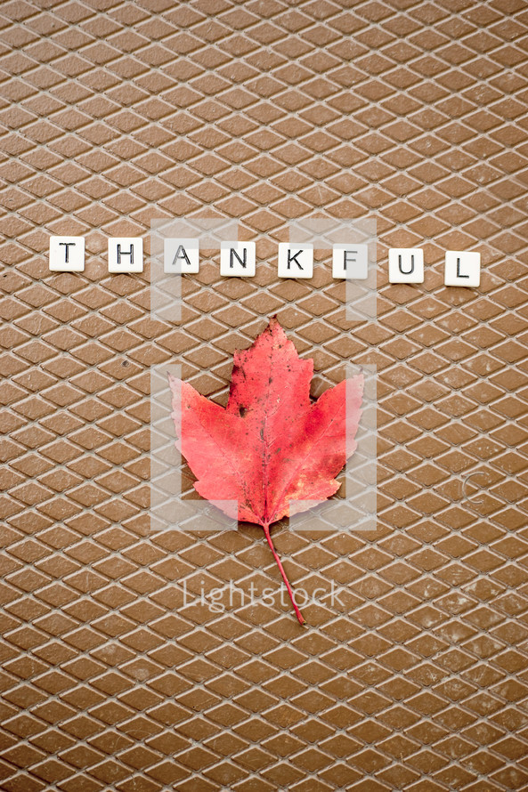 Thankful  (vertical)