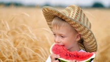 Happy childhood concept. Handsome little boy in a straw hat eating fresh refreshing juicy watermelon. Boy eating watermelon slices in the wheat field at sunny summer day. Great summer vacations.