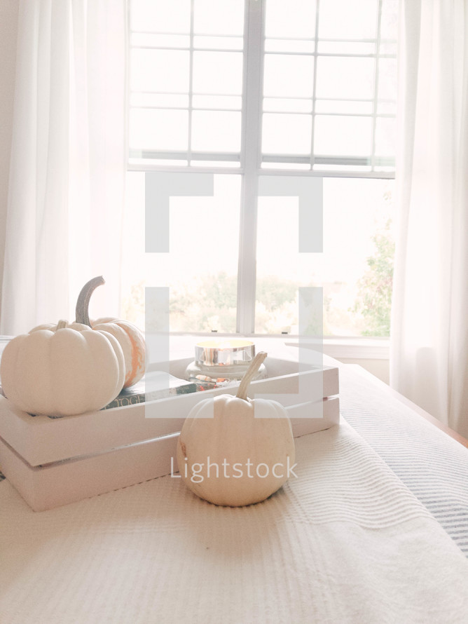 light from a window and white pumpkins 