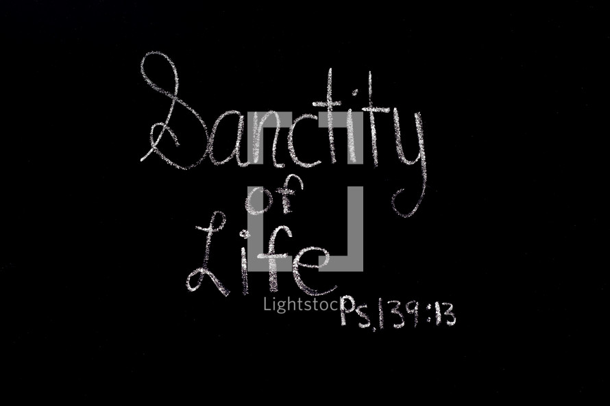Sanctity of Life Psalm 139:13 