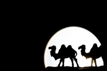 Christmas camels nativity black and white silhouette