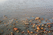 rocks along a shore 
