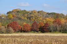 Fall Colors along a Hiking Trail in southwestern Wisconsin