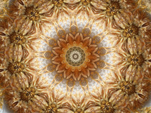 dried flower heads - glowing kaleidoscope lens effect - gives an effect like looking up into an architectural dome