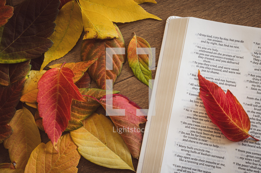 Open bible with autumn leaves on a wood background with copy space