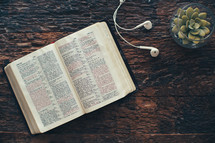 open Bible, earbuds, and houseplant on a wood background 