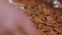 Almonds on a conveyor belt in an industrial food processing facility. Slow motion footage