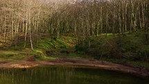 Zomaro Lake In Mountains Of Calabria Region In Italy With Bare Autumn Trees