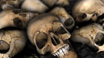 Pile of Human Skulls in Close Up