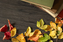 Vintage books with autumn leaves on a dark wood background