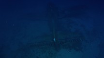 wreck of the Grumman F-6f Hellcat - Cavalaire