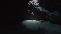 Underwater Caves exploration in the South of the Egyptian Red Sea
