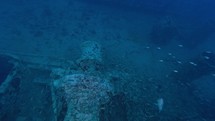 Wreck of the Rosalie Moller - Red Sea