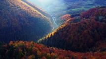 Aerial view from a drone, autumn trees in the forest coloured with many colours, hilly rural forest landscape, sunlight illuminating the treetops. 