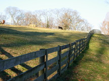 A cow field with a cow surrounded by a split rail fence and grassy knoll farm land over several acres in Virginia.