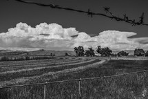barbed wire and field on a Farm, Wellington, UT