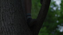 Young boy climbs up tree late afternoon in summer - close up on feet