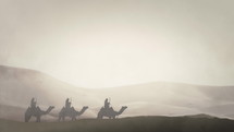 Arabian Warriors in an Arabian Desert Riding Camels