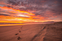 footprints in the sand on a beach at sunset 