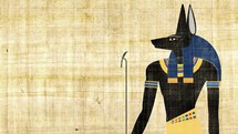 Egyptian God of Death Anubis on a Papyrus Background