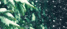 Evergreen tree branches and white falling snow holiday background with copy space, Christmas and New Years holiday background with snowflakes and tree branches, Snowing festive winter woods texture backdrop